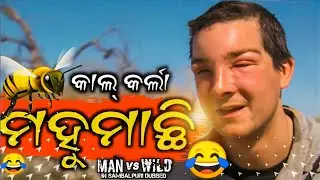 Kaal Karlaa Mahumachhi Man Vs Wild Sambalpuri DUBBING Comedy  😂 🐝|| Raj Creation 2.0