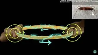 Magnetic Field due to Current Carrying Loop [odia] | Magnetic effects of electric current|Class 10|