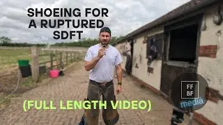 Shoeing for a ruptured superficial digital flexor tendon (Full video of all four shoes!)