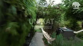 Трендовые цвета Капарол 2023 / Caparol Trendfarben 2023 Unikat 5.1