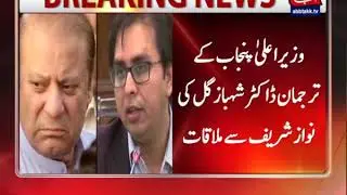 CM Punjab's Spokesperson Dr Shehbaz Gul Meets Nawaz Sharif