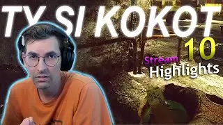 TY SI K*KOT | Tenzenator stream highlights 10