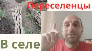 Жизнь переселенцев.Работы меньше не будет