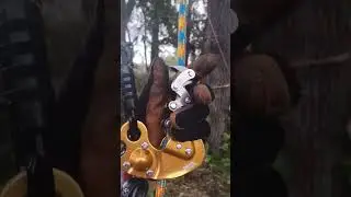 How The Petzl ZigZag Works 😱👀😰 SRT tree Climbing