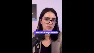 Hoch-Risiko KI Systeme nicht verboten?! 🤯