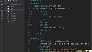 HTML Basics in Dreamweaver