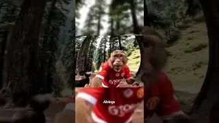 : &ldquo;Monkey Ka Vlog Life😂 #FunnyAnimalVlog #AIGenerated #VirtualVlogger #MonkeyVlog #FunnyShorts