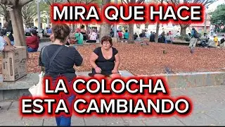 LA COLOCHA ESTA CAMBIANDO ,MIRA QUE HACE.