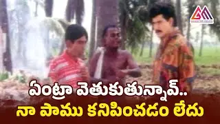 Hero Suman Latest Telugu Comedy Scenes || Kallu Chidambaram Funny Comedy Scenes || Gangothri Movies