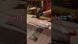deboning fish to fillets 🦈🇫🇮 #lake #shorts #finland #viralshort #lakefish #deboning #fishing #snow