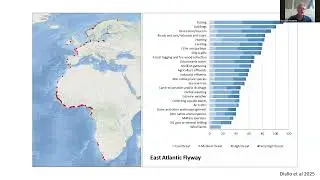 Millions of Birds, One Flyway: New Data & Tools Reveal Urgency and Hope for Wetlands and Communities