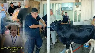 تم بحمد الله احياء ذكرى استشهاد الامام الحسين عليه السلام في منزل الحاج الشيخ نجم كاظم الدهش الدايني
