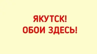 Магазин дизайнерских обоев Maestro Design, Магазин обоев Якутск