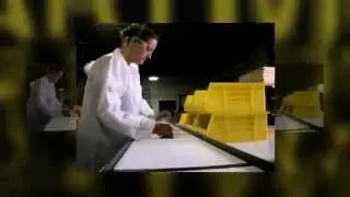 Modular Conveyors - Custom Assembly Solutions from 4SmartMove.com