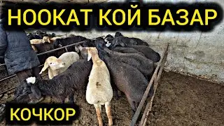 НООКАТ КОЙ КОЧКОР БАЗАР👍 28 ДЕКАБРЬ#байкж 