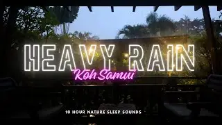 Heavy Rain in Koh Samui, Thailand | Nature Sounds for Deep Sleep, Relaxation & Stress Relief