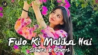 Fulo Ki Malikini: The Untold Story of Pakistan's First Mafia Queen