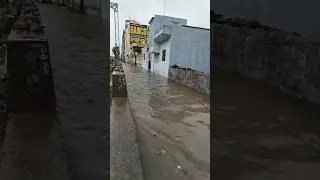 Sikar in Rainy season. #sikar #rajasthan #rain