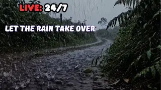 🔴LIVE 24/7 Rain Sounds 🌧️ Sleep Deep While Rain Plays All Night