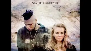 NMEK, Zara Larsson - Never Forget You (F R Q Remix)
