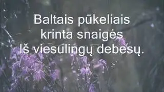 paukščiai