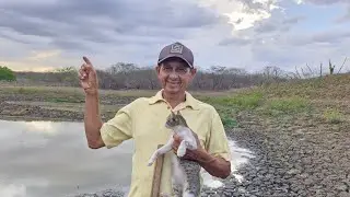 Vamos plantar sementes de abóbora.