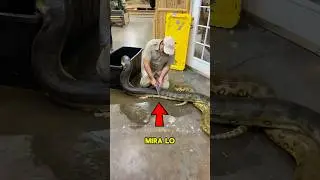 #babifreitas