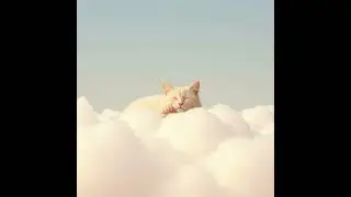 【ねこ専用セラピー音楽】1月5日にゃん｜Therapeutic music for cats
