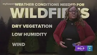 As fire weather season approaches, Meteorologist Symone Thomas breaks down wildfires.