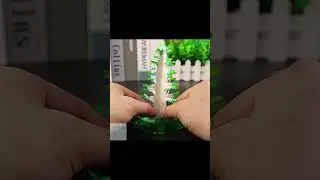 Magic Christmas Tree | Novel Growing Paper Tree Toy for Kids Educational & Party Toys DIY Decor #203