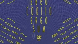 Making Of: Flying Notes - Cogito Ergo Sum