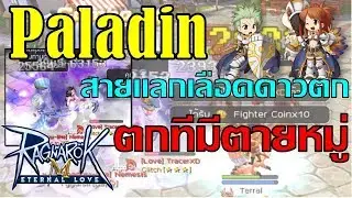 Guide Paladin-สายแลกเลือดดาวตก ตกแรง! ตกรัวๆ! (PVP/WAR) | Ragnarok Mobile : Eternal Love