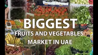 Biggest fruits & vegetable market In UAE  | Cheapest market | Dubai wholesale vegetables market