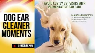 Pet MD - Dog Ear Cleaner Wipes- PRODUCT REVIEW