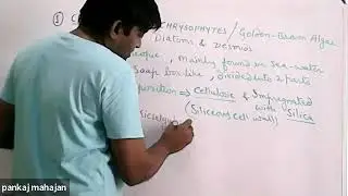 chrysophyta (diatoms & desmids)