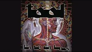 Tool - Parabola (extra chorus)
