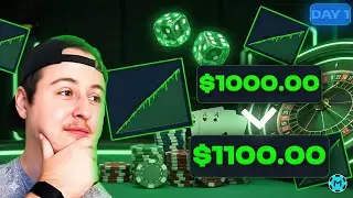 Dice Strategy Day 1 &ndash; Is Consistent 10% Daily Profit Real? | Casino Challenge
