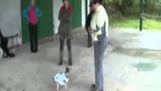Dogacademy
