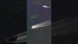Woman killed by alligator during canoe trip in Florida