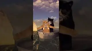 CATANIC 😂 #Catanic