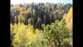 East Canyon Fall ATV Ride with Zach and Austin 2012