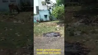 Avadi govardhanagiri main road 400 metre land sale corner north wast facing 9080575654 land 40/40
