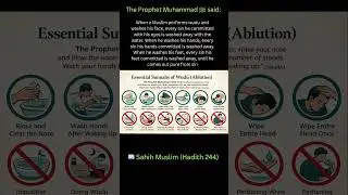 This Is What Happens When You Make Wudu | Every Sin Is Washed Away