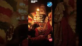 Sri Alarmelmangai Thayar🔱#travel #maalaxmi #trending #youtubeshorts #shorts #viral #foryou #boost#yt