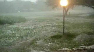 MOV07551