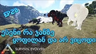 ვათვინიერებთ სპირიტის და ჩაოსის Dodo Rex-ებს და Dodo Wyvern-ებს | EP28 | ARK Survival Evolved