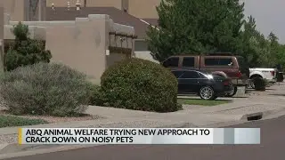 Animal Welfare: New noise complaint system is working