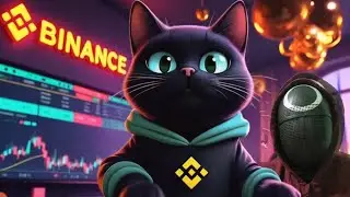 Nacho The Kat: The Kaspa Meme Coin Binance Has Its Eyes On! 🐱🚀
