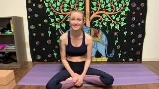Build Core Strength | L Sit Variations