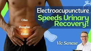 Electroacupuncture Speeds Urinary Continence Recovery After Prostate Surgery